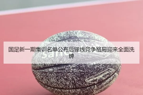 国足新一期集训名单公布后锋线竞争格局迎来全面洗牌 | milan.com